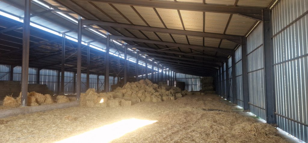 514395877_1270532561136309_3243633654497292995_n